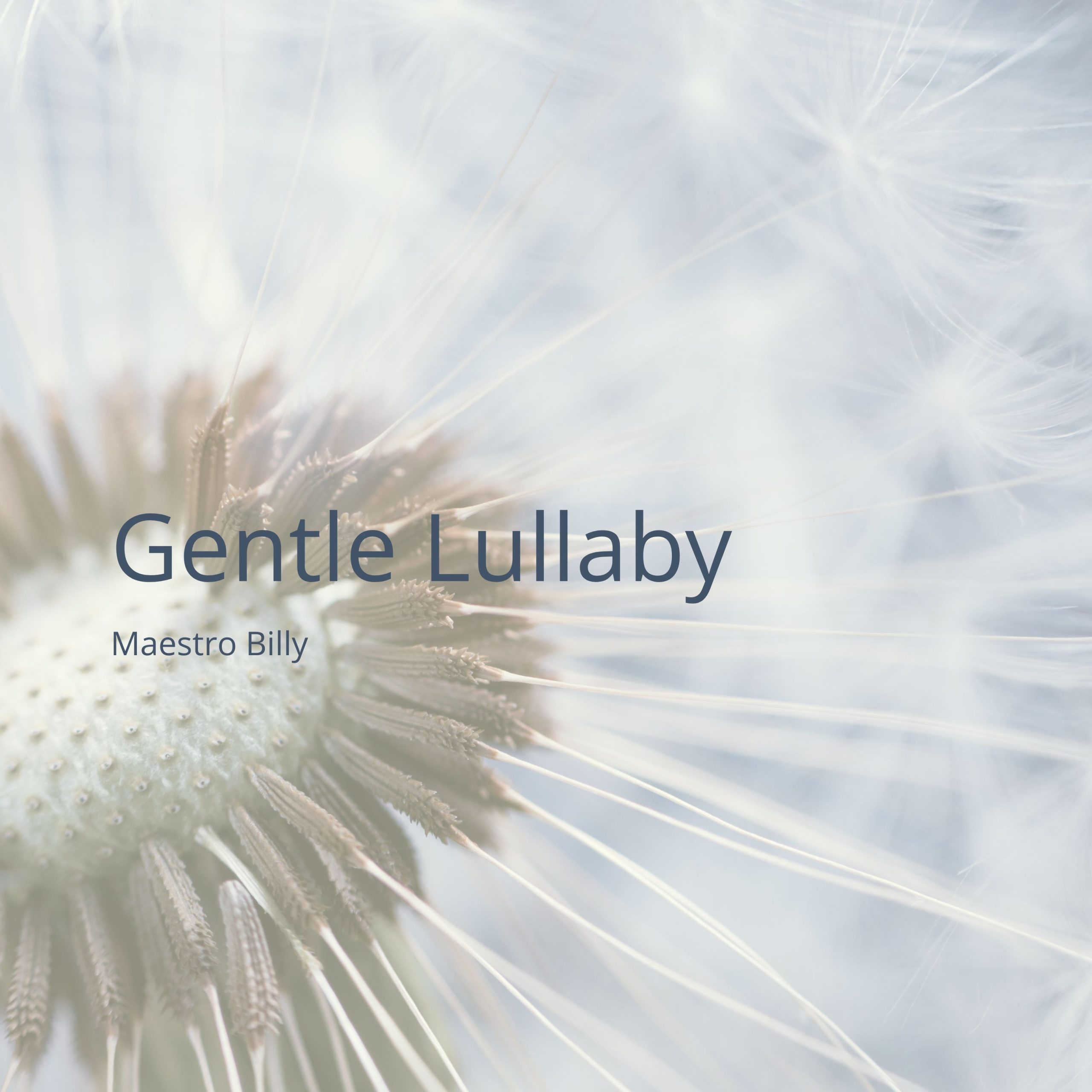 Gentle Lullaby: A Different Sonic Serenity