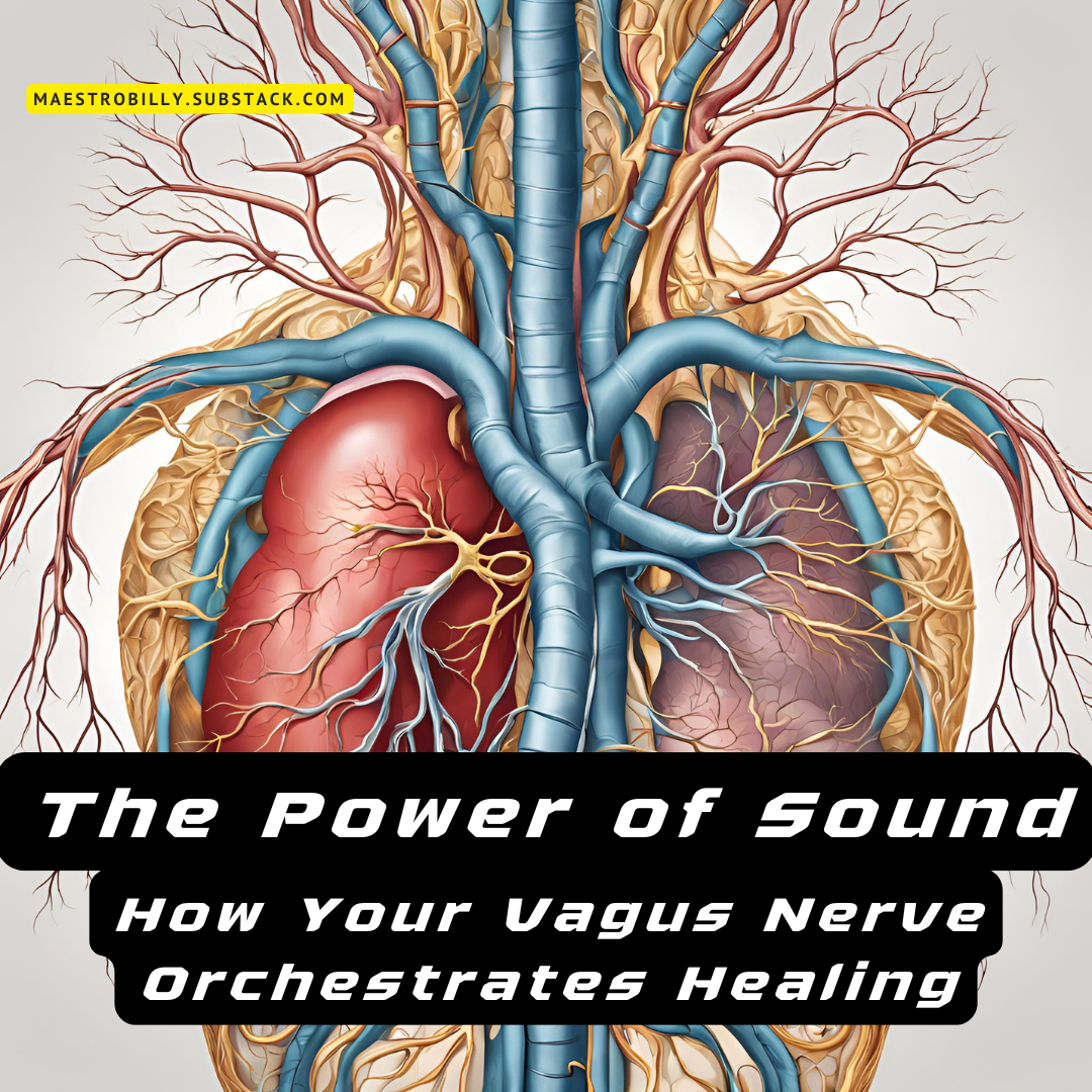 The Power of Sound: How Your Vagus Nerve Orchestrates Healing